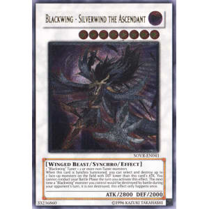 遊戯王　Blackwing - Silverwind the Ascendant Blackwing - Silverwind the Ascendant Card Profile : Official Yu-Gi-Oh!